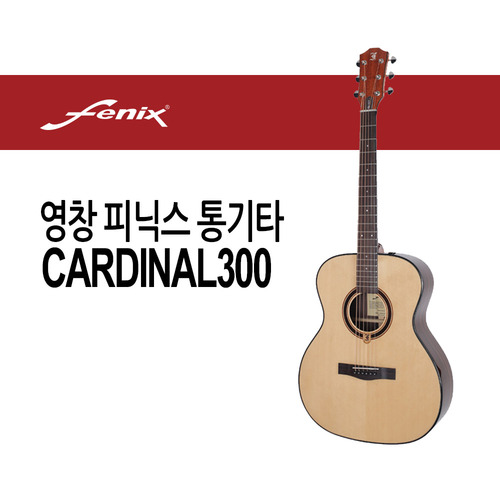 영창 통기타 피닉스 CARDINAL300 어쿠스틱
